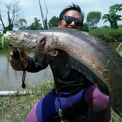 TSURINOYA Spinner Bait.