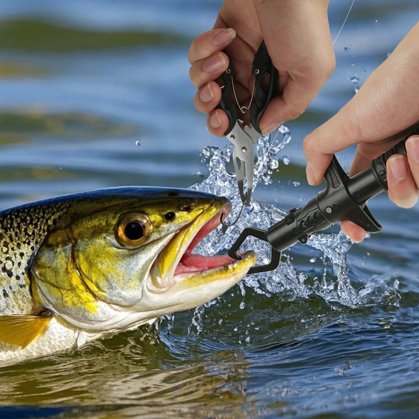 Fish Lip Gripper and fishing plier.