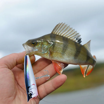 Topwater Popper Bait for Freshwater and Saltwater Surface Fishing.
