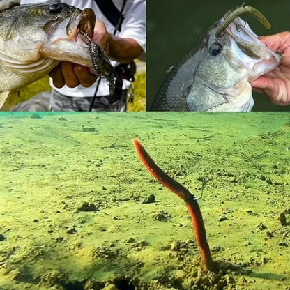 Senko Worm Soft Bait.