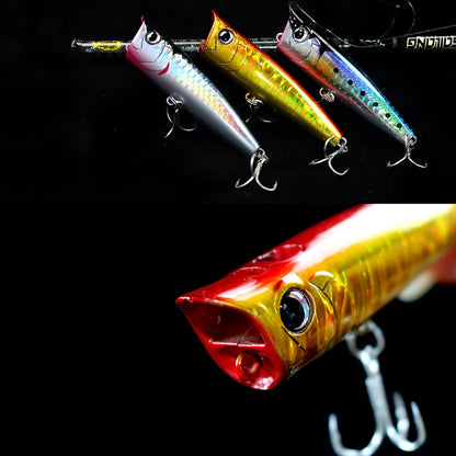 Popper Fishing Lure.