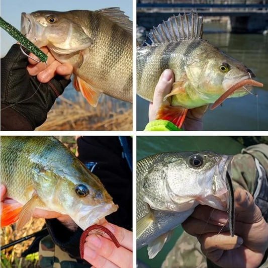 Senko Worm Soft Bait.